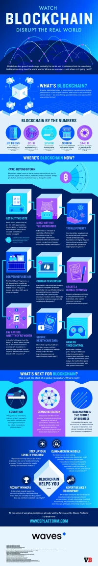 Blockchain: Verifiability vs. Private Contracts